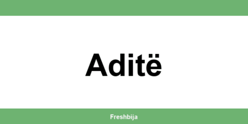 Univerexport Aditë radno vreme