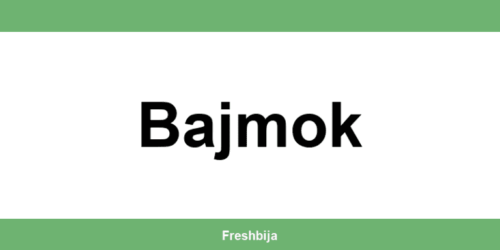 Univerexport Bajmok radno vreme