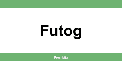 Univerexport Futog radno vreme