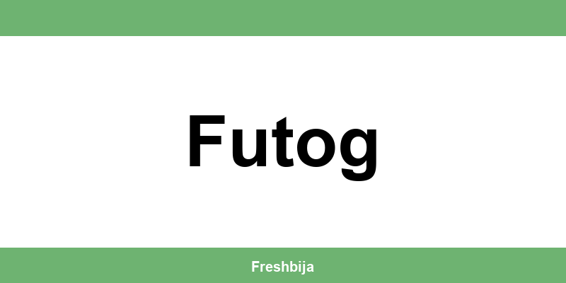 Univerexport Futog radno vreme