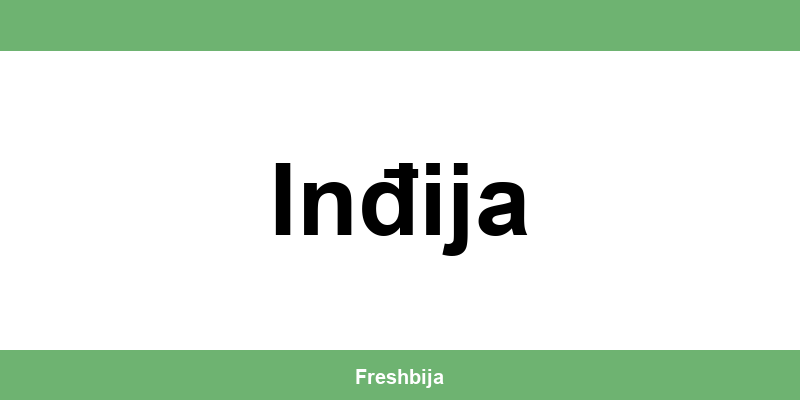 Univerexport Inđija radno vreme