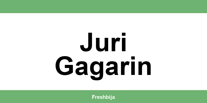 Univerexport Juri Gagarin radno vreme