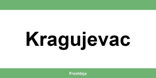 Univerexport Kragujevac radno vreme