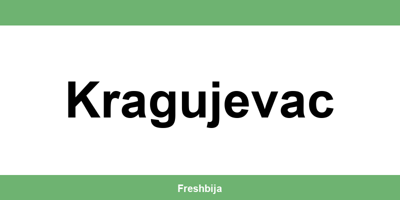 Univerexport Kragujevac radno vreme