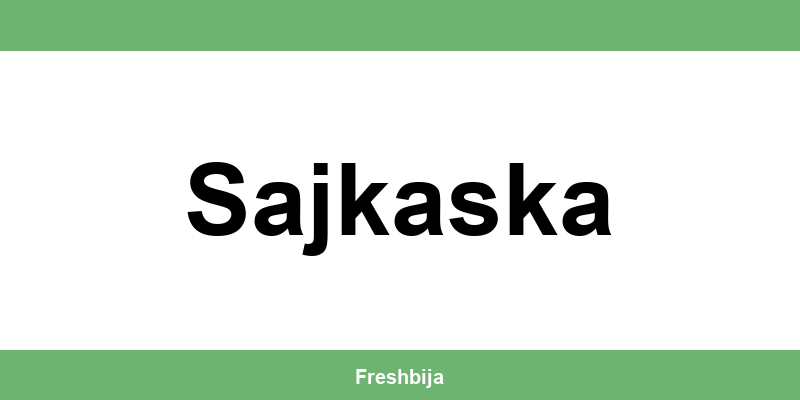 Univerexport Sajkaska radno vreme