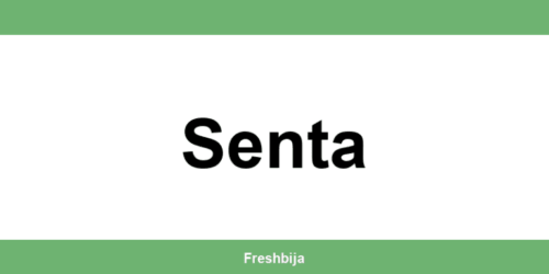 Univerexport Senta radno vreme