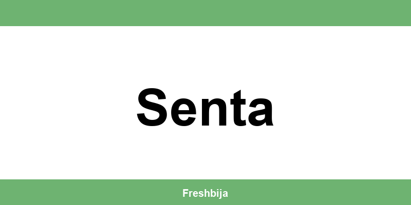 Univerexport Senta radno vreme