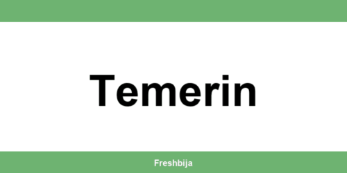 Univerexport Temerin radno vreme